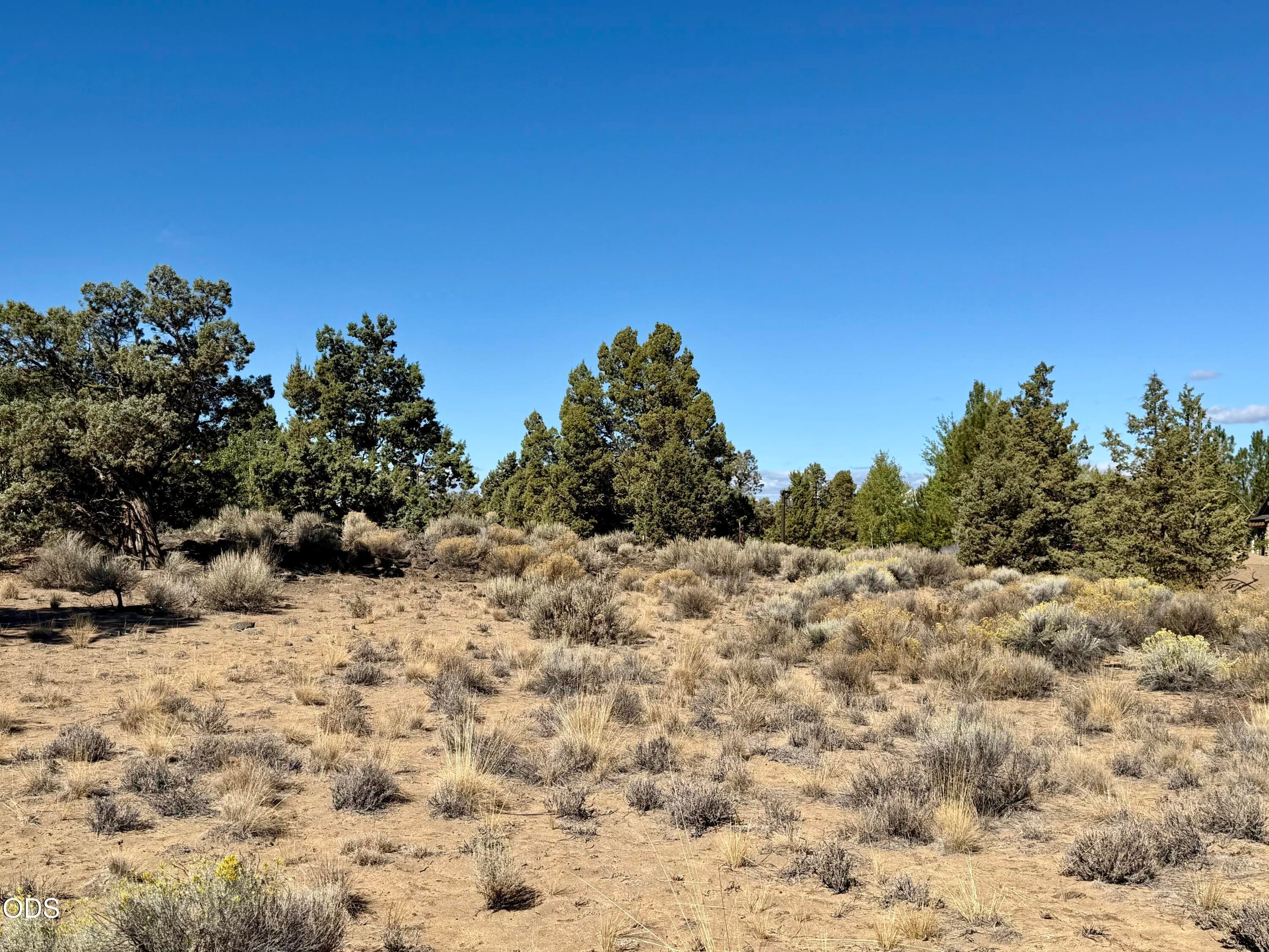 Photo 4 of 66215 Pronghorn Estates, 191